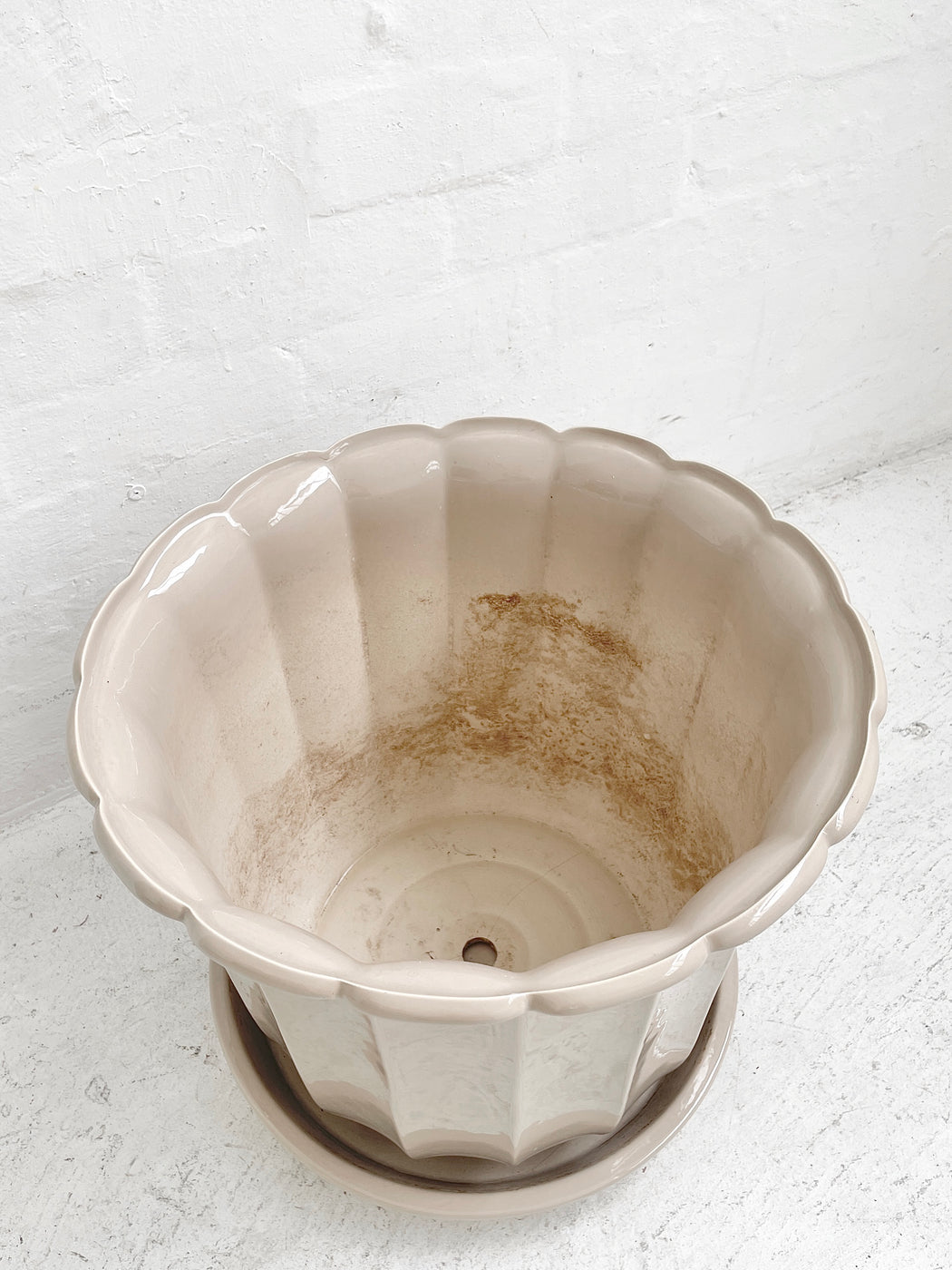 Large Vintage Caroma Ware Porcelain Planter