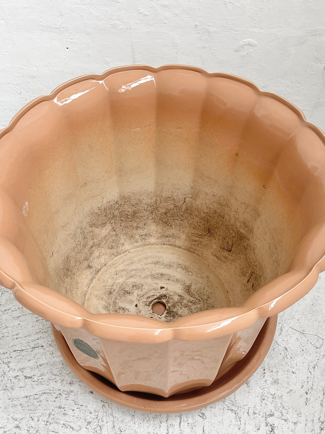 Large Vintage Caroma Porcelain Planter