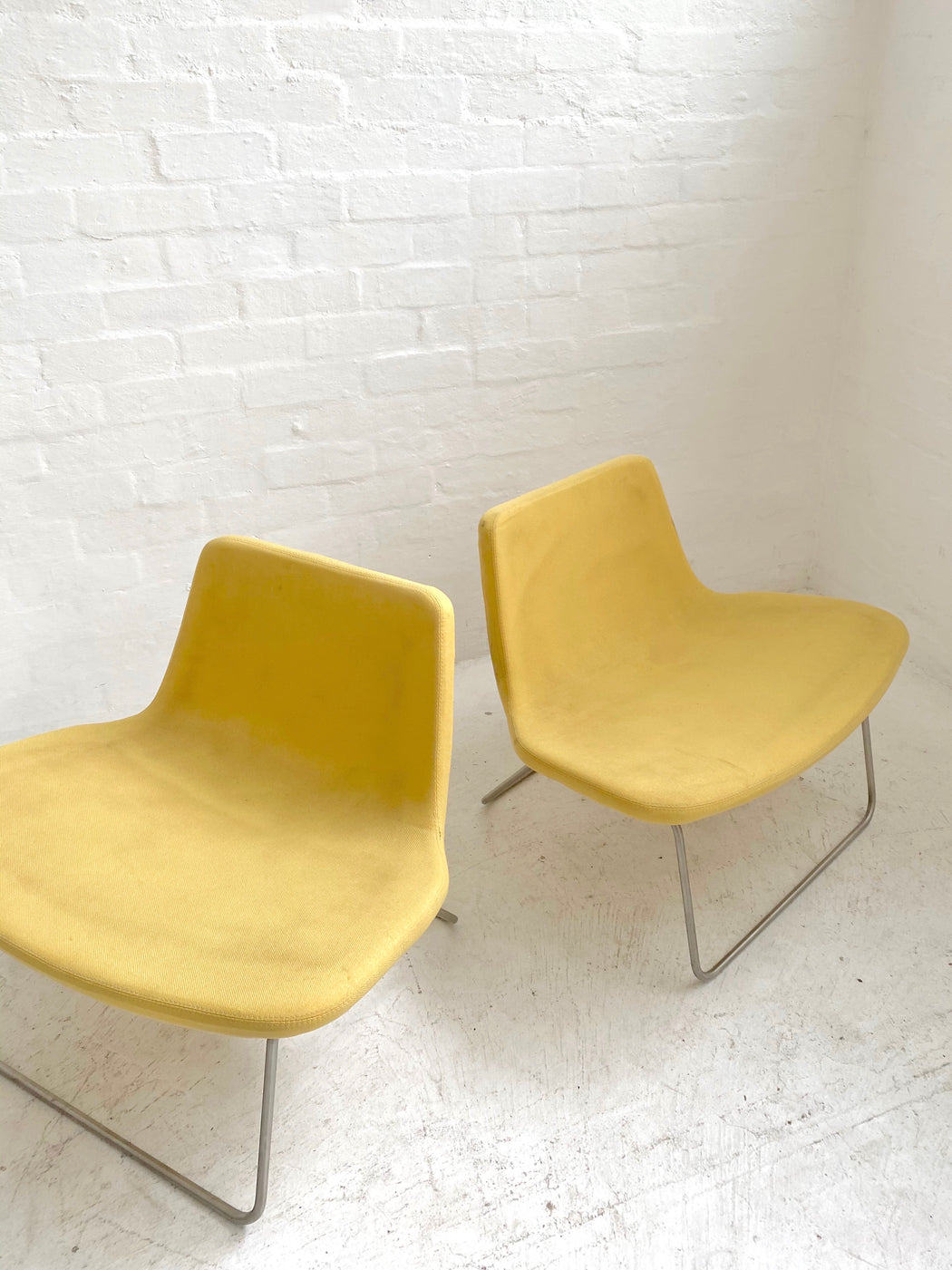 Jakob Wagner 'Ray' Lounge Chair